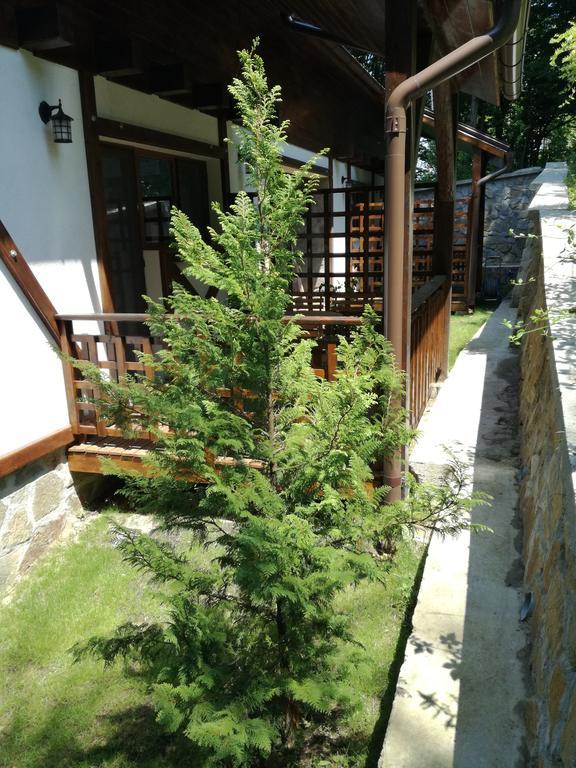 Апартаменты Casa Gozna Вэльюг Экстерьер фото